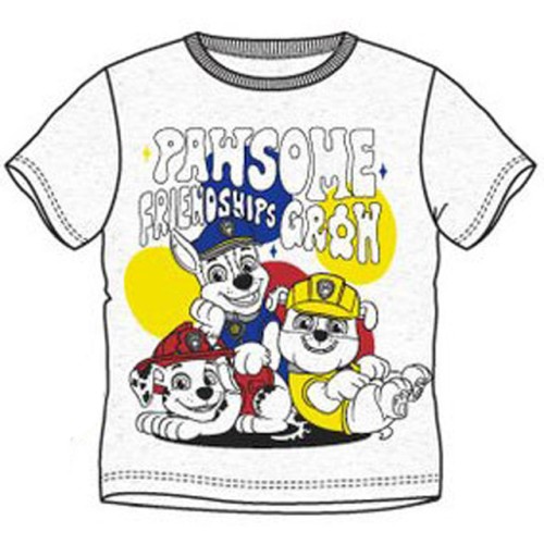 Paw Patrol Friendship children's short t-shirt, top 6 years