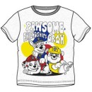 Paw Patrol Friendship children's short t-shirt, top 6 years