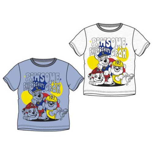 Paw Patrol Friendship kids' short T-shirt, top 3-6 years