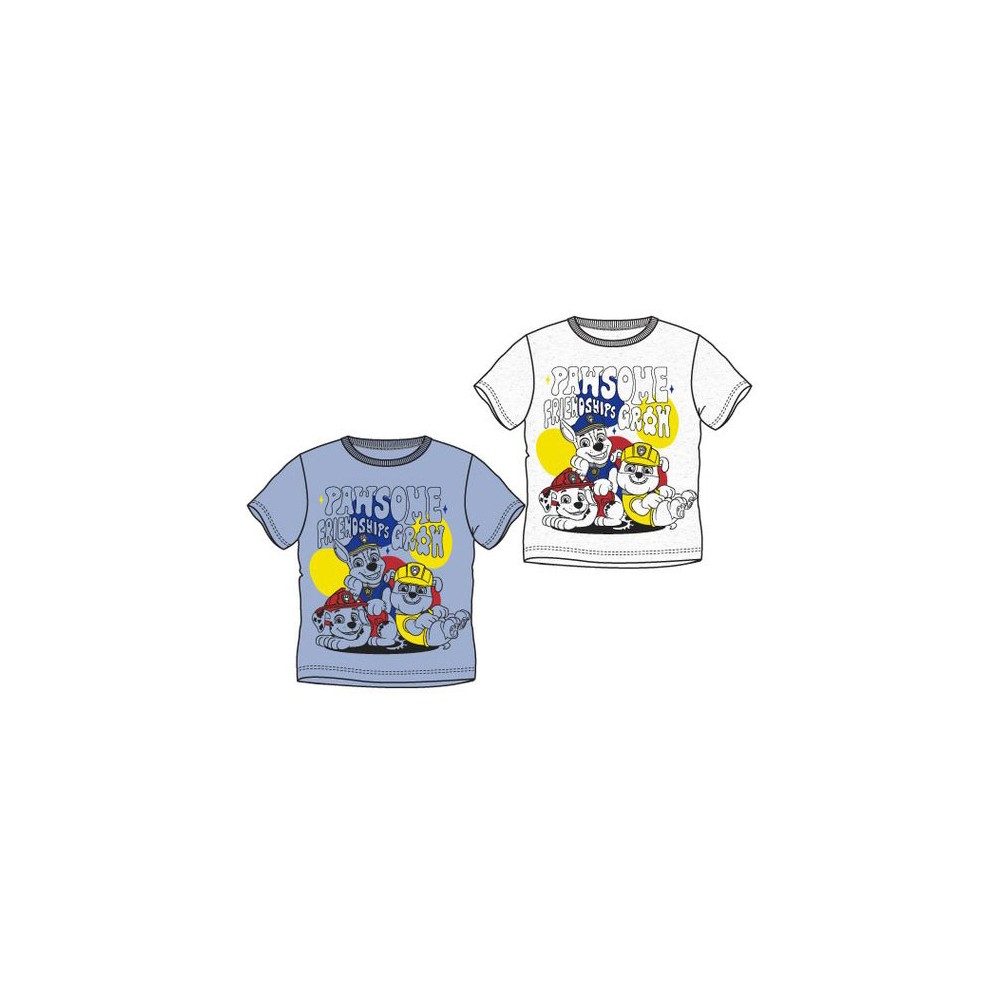 Paw Patrol Friendship kids' short T-shirt, top 3-6 years