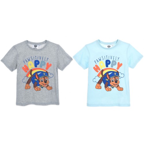 Paw Patrol children's short t-shirt, top 3-6 years