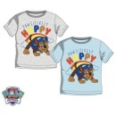 Paw Patrol children's short t-shirt, top 3-6 years