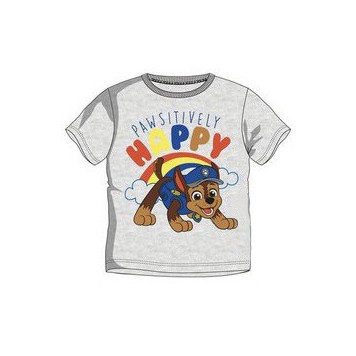 Paw Patrol kids' short t-shirt, top 5 years