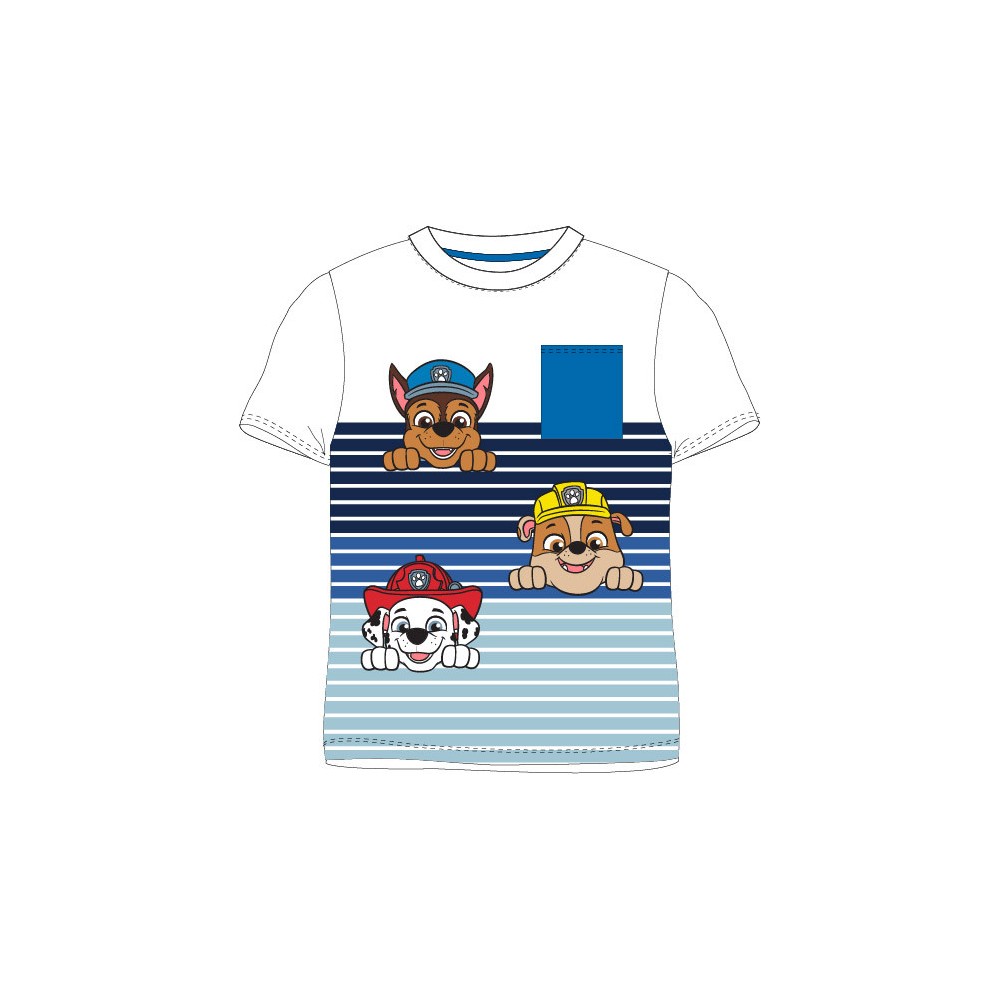 Paw Patrol children's short T-shirt, top 5 years