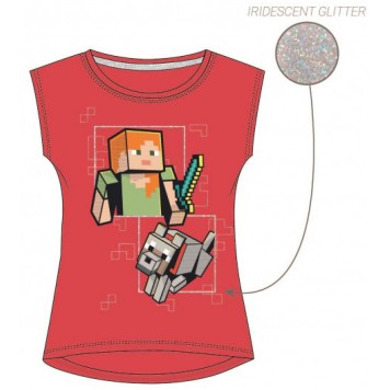 Minecraft children's short t-shirt, top 6 years