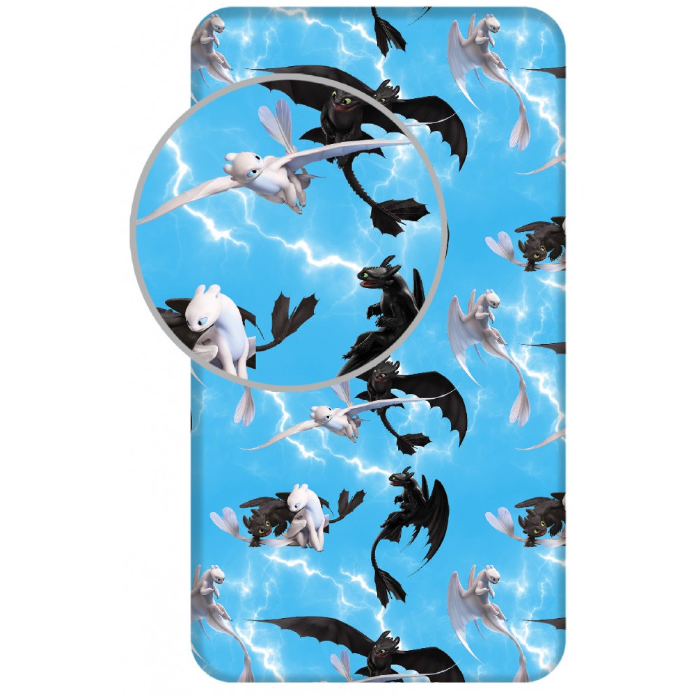 How To Train Your Dragon Family Fitted Sheet 90x200 cm