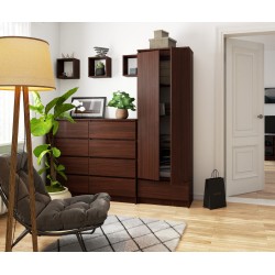 REGAŁ ZAMKNIETY R60 2D 1SZ CLP VENGE