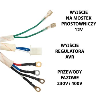 Prądnica wirnik stojan do agregatu prądotwórczego PM-AGR-3000MNKE-SI