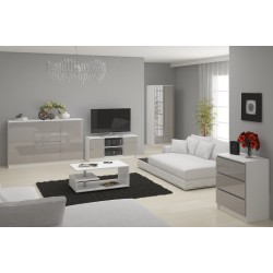 SZAFA STAR S 60 cm 2 DRZWI 2 SZUFLADY PK BIAŁA / METALIK POŁYSK