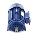 Silnik elektryczny 380V 5,5KW 1450rpm KD1819