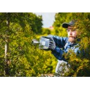 Elektryczne nożyce do żywopłotu PM-NE-1600M