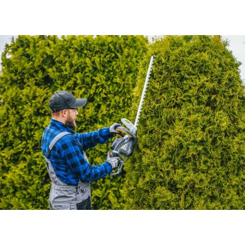 Elektryczne nożyce do żywopłotu PM-NE-1800M