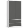 SZAFA S90 2D 2SZ CLP PK BIAŁY / SZARY