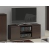SZAFKA RTV 120 cm 2D 1P WENGE