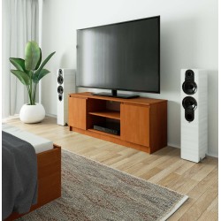 SZAFKA RTV 140 cm 2D 1P OLCHA