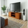 SZAFKA RTV 140 cm 2D 1P OLCHA