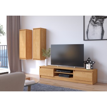 SZAFKA RTV 160 cm 2D 1P OLCHA