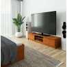 SZAFKA RTV 160 cm 2D 1P OLCHA