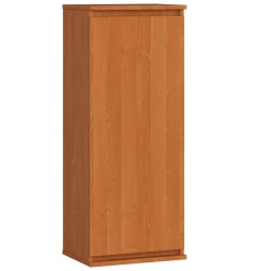 SZAFKA WISZĄCA - WITRYNA W40 CLP OLCHA
